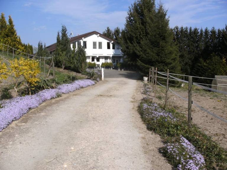 foto15
