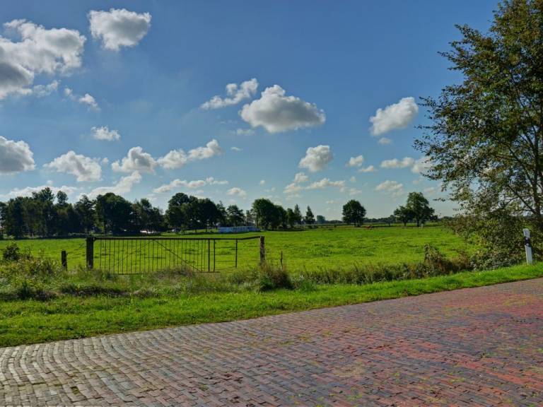 foto11