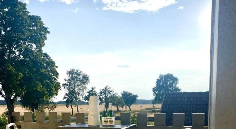 foto41