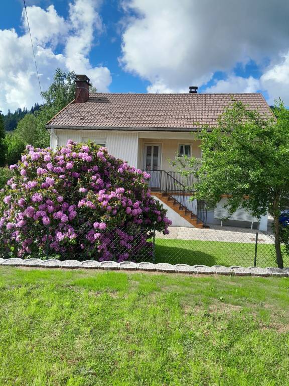 Cottage Saulxures-sur-Moselotte