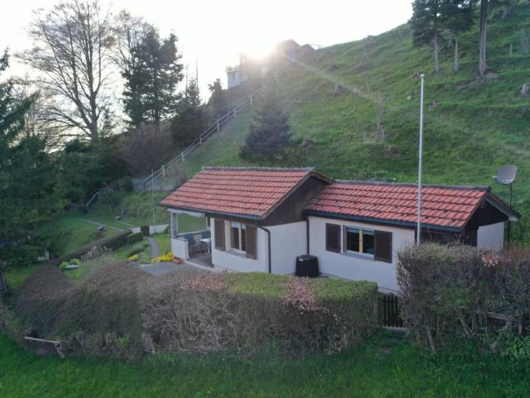 foto14