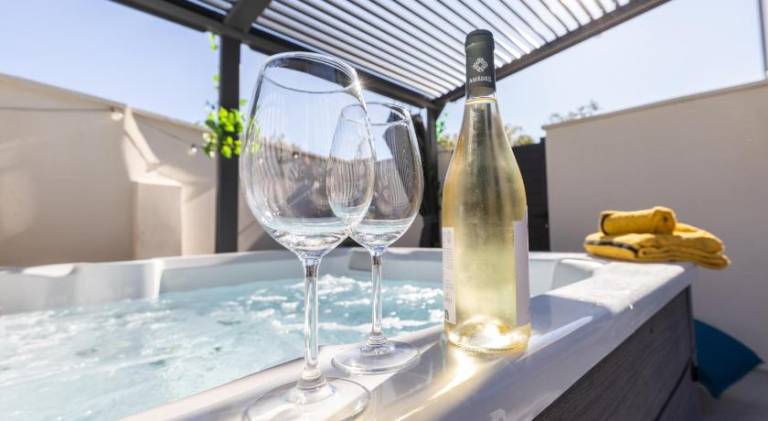 Vacation home with patio, BBQ & hot tub in L'Isle-sur-la-Sorgue