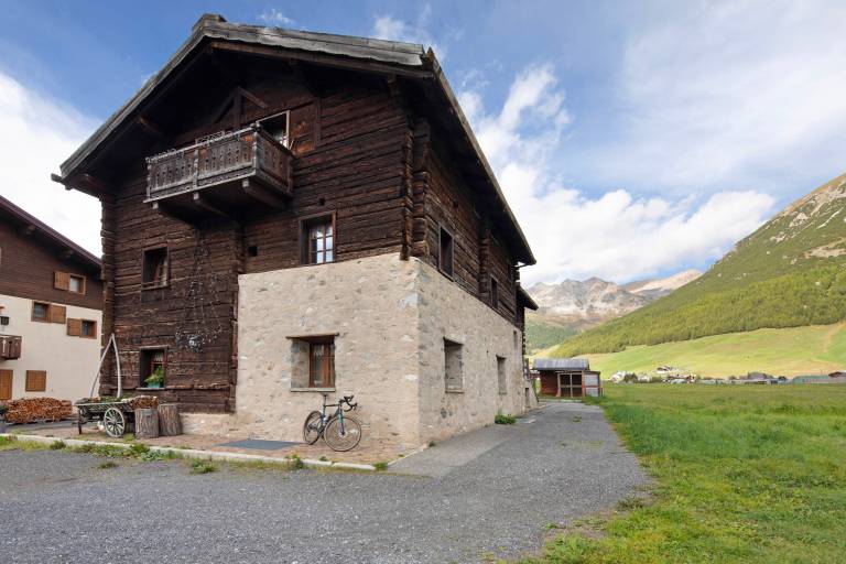 Pleasant studio with garden & fast internet | Garden view | Dogs allowed in Livigno