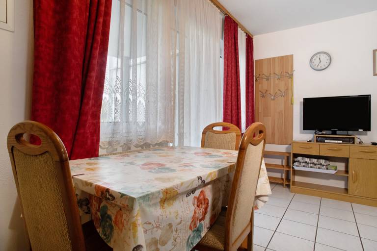 Apartment with terrace — photo 4