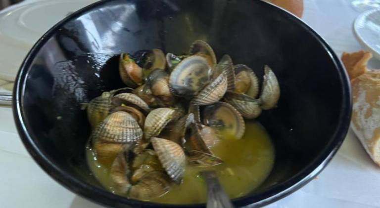 foto11