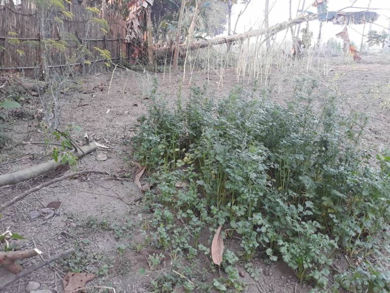 foto8