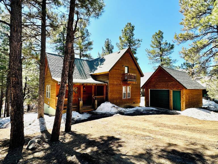 Cabin Pagosa Springs