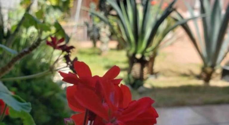 foto20