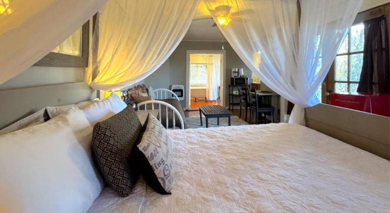 Apartment | Pets are welcome in Eureka Springs, AR