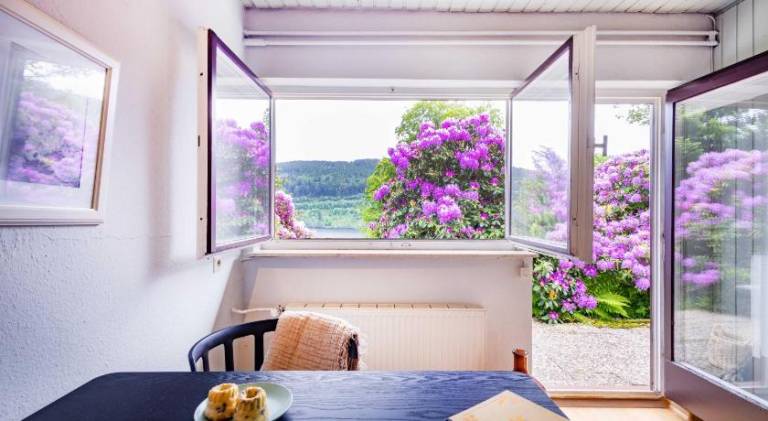 Titisee Haus an der Sonne by Kuckucksnester — photo 5