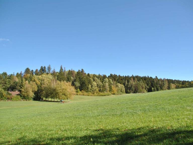 foto20