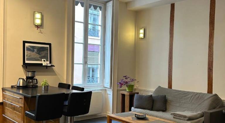 Appartement lumineux en plein coeur de Lyon — photo 4