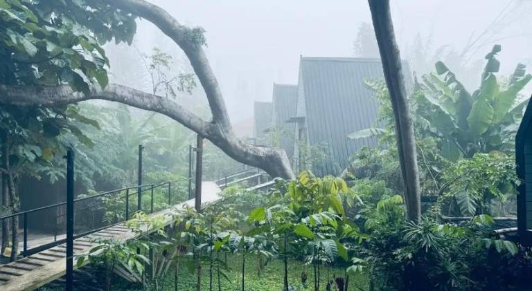 เข้าค่าย Cafe & Resort - Pet Friendly in Khao Kho