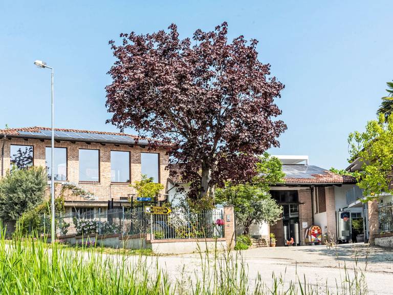 foto13