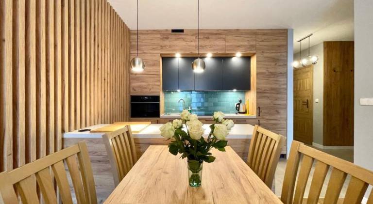 Beautiful apartment | Dogs allowed in Torun