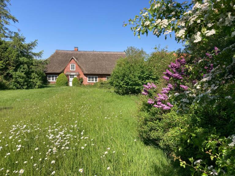 Ferienhaus in Quaal, Riepsdorf f&uuml;r max. 6 Personen