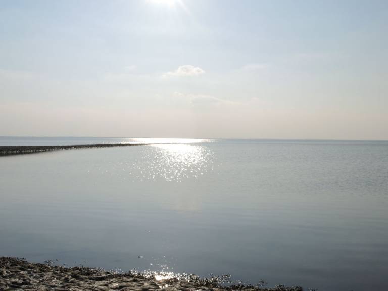 foto16