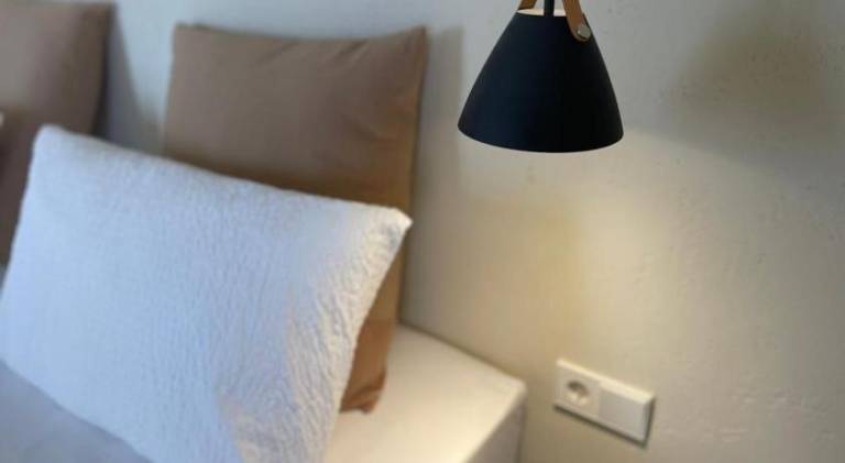 Viva Properties in Aristotelis