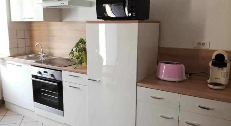 Appartement avec jardin a Colmar in Colmar