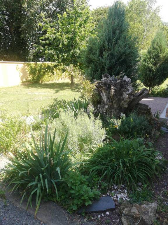 foto14