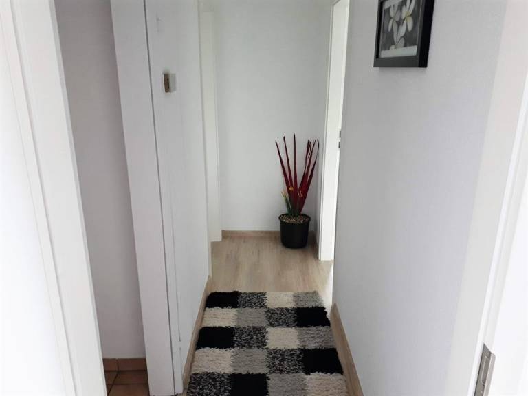 foto12