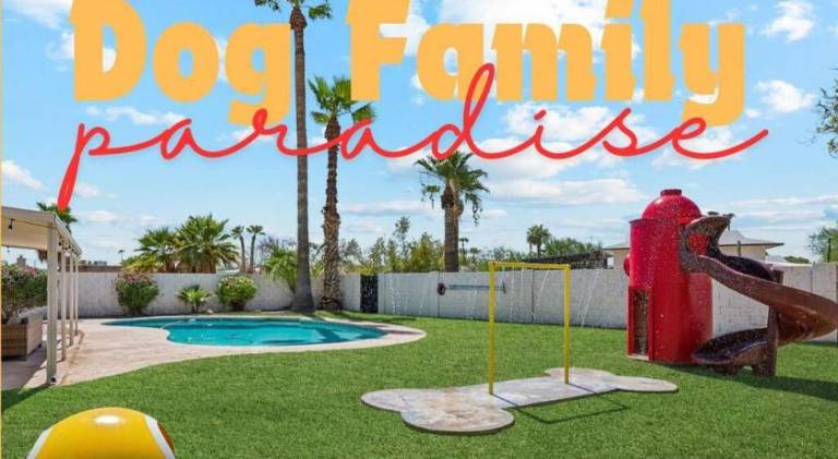House | Pets allowed in Tempe, AZ