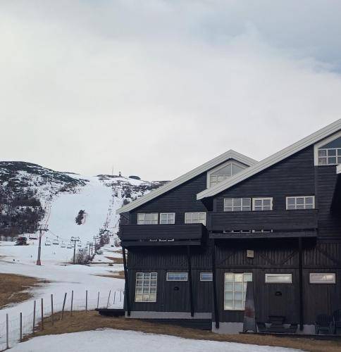 Leilighet Oppdal