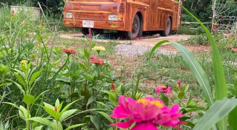 Nice house | Pets are welcome in Chiang Mai