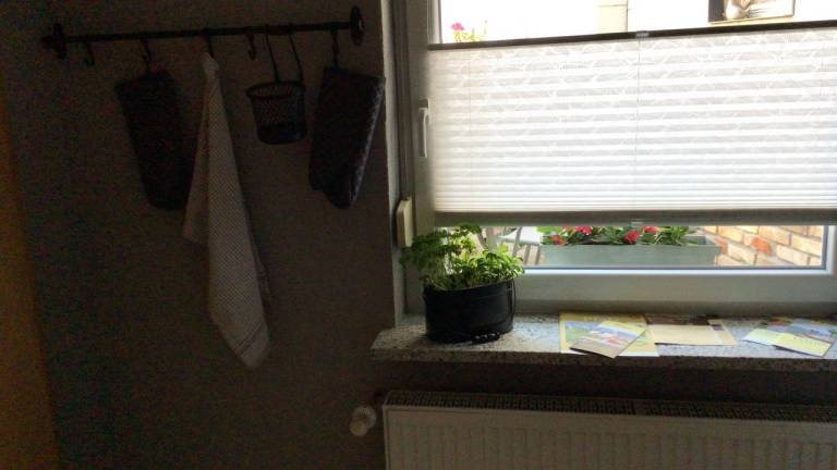 foto19