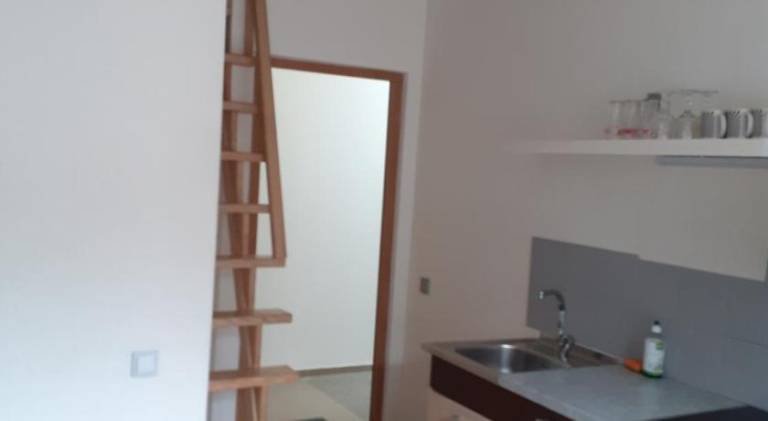 Rental apartment | Pets are welcome — photo 4