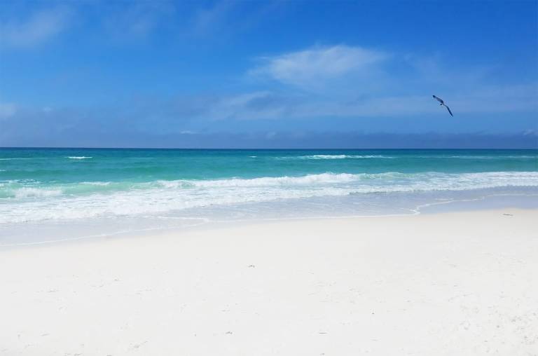 Surfwinds 3 — photo 3