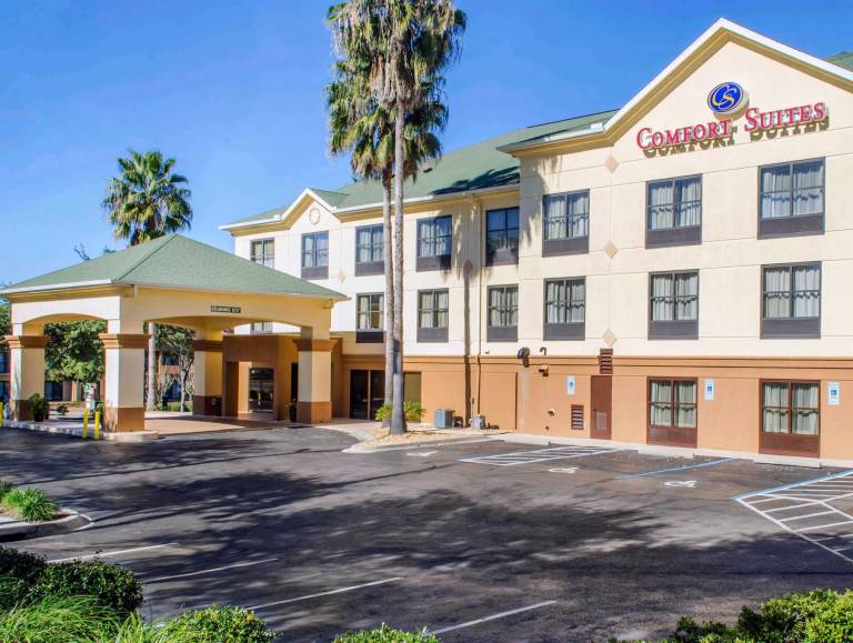 Comfort Suites Tallahassee Capitol - University Area in Live Oak, FL