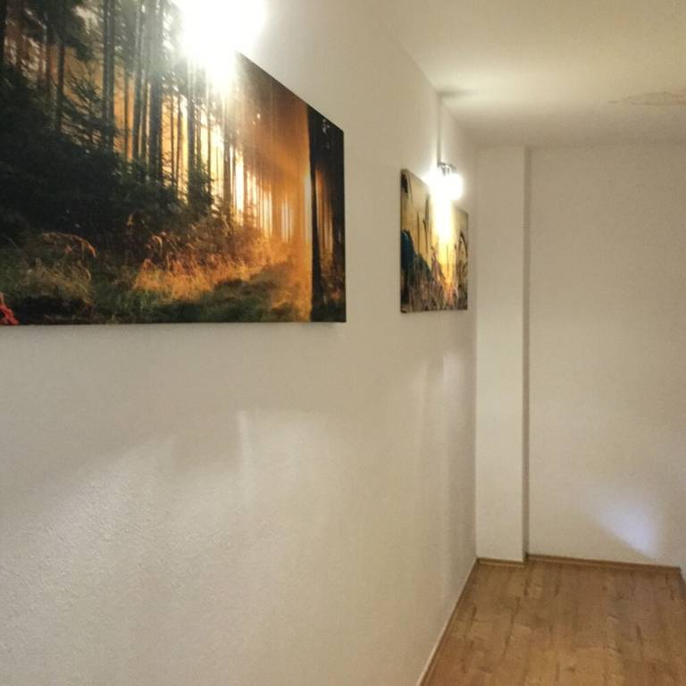 Apartmán  Vysoke Myto