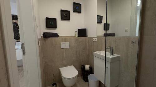 foto11