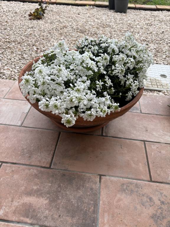 foto15