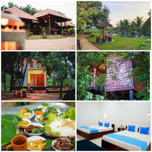Resort  Sigiriya