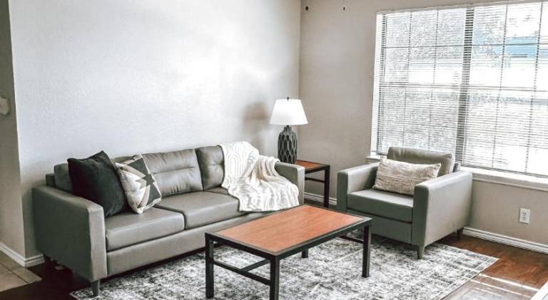 Wonderful apartment with jacuzzi & pool | Good for workation | Pets allowed in Denton, TX