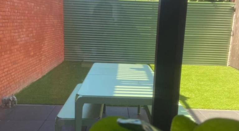 foto5