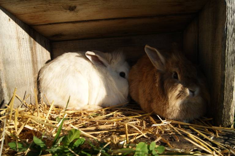 foto16