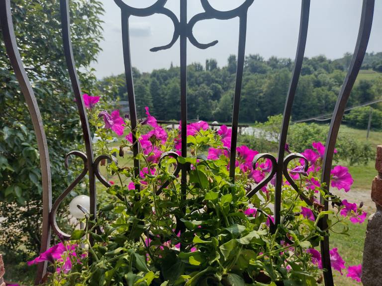 foto17