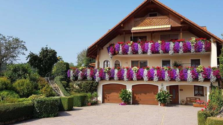 Ferienwohnung Regenthal