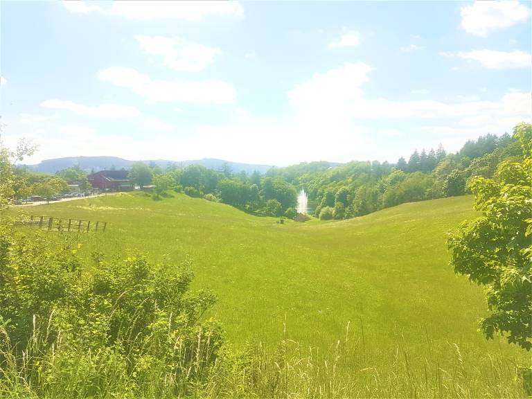 foto31