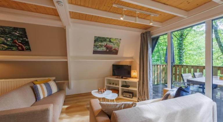 Chalet with pool | Dogs allowed — photo 2