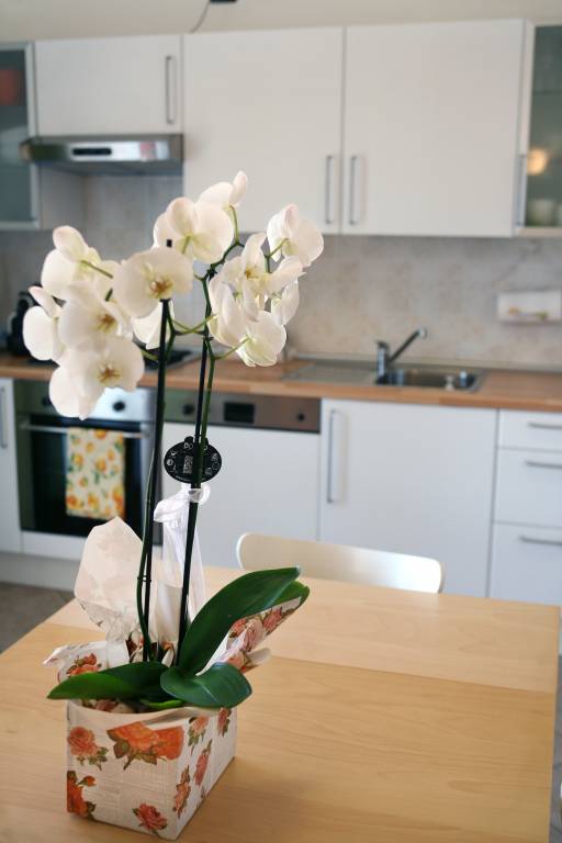 Apartments "i Ciclamini" a Moniga del Garda 2 — photo 3