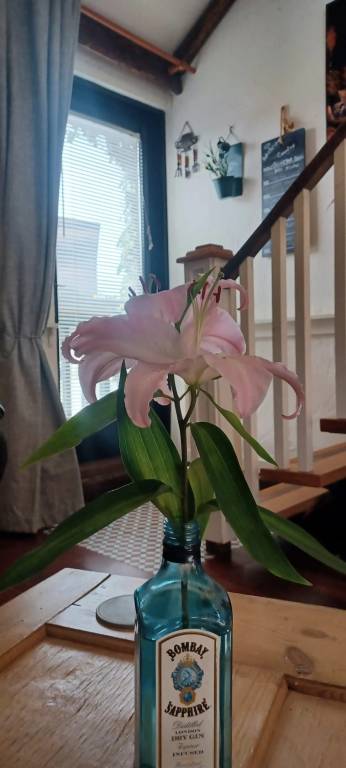 foto23