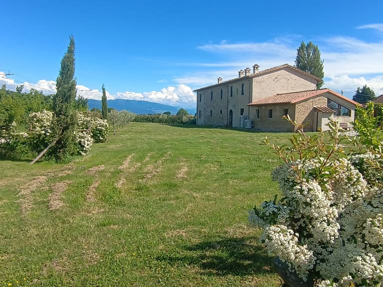 foto12