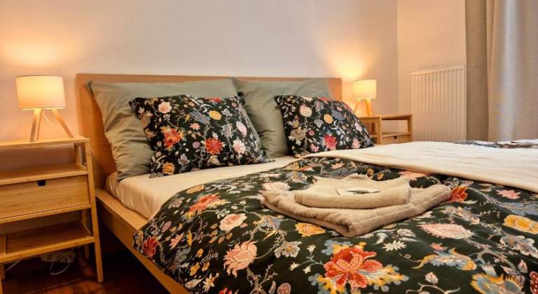 Holiday apartment | Near Špilberk Castle | Pets are welcome in Brno