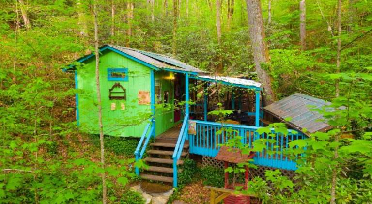 House | Dogs allowed in Helen, GA