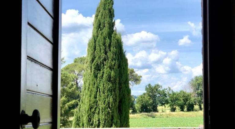 Farm with garden & BBQ in Narni