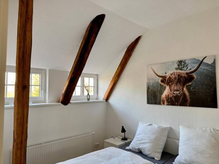 Robbe beim Ochsenturm am Deich